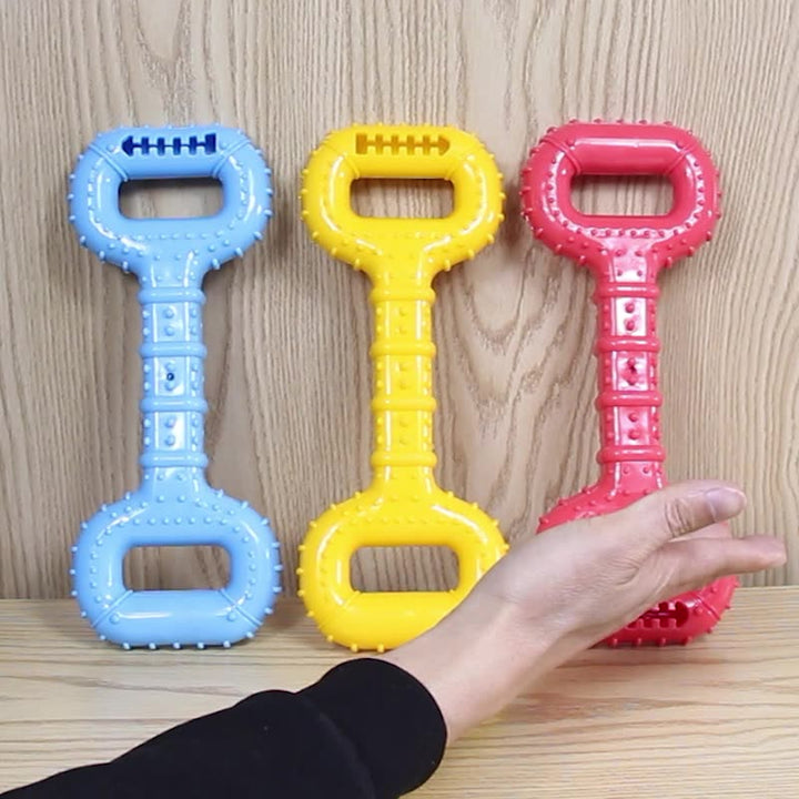 Transform Playtime with the Durable Pet Chew Bone
