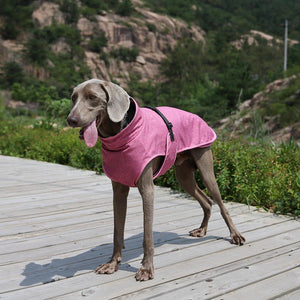 Keep Your Pets Cozy with Our Winter Pet Shell Jacket