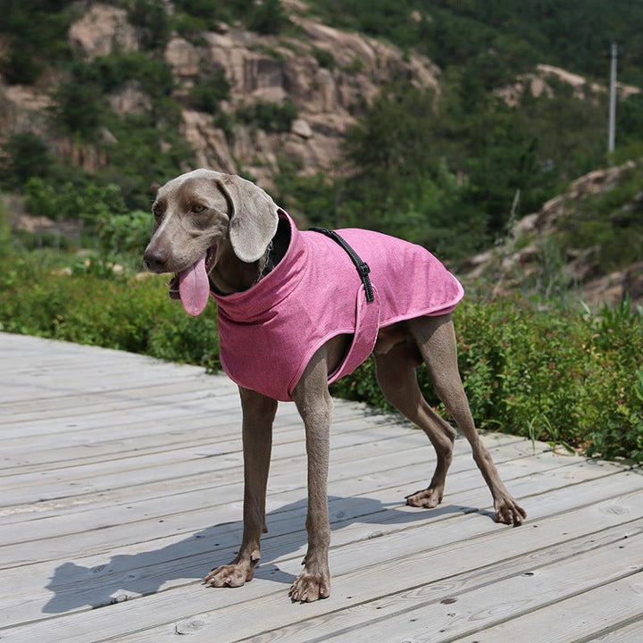Keep Your Pets Cozy with Our Winter Pet Shell Jacket