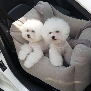 Traveling with Pets Made Easy