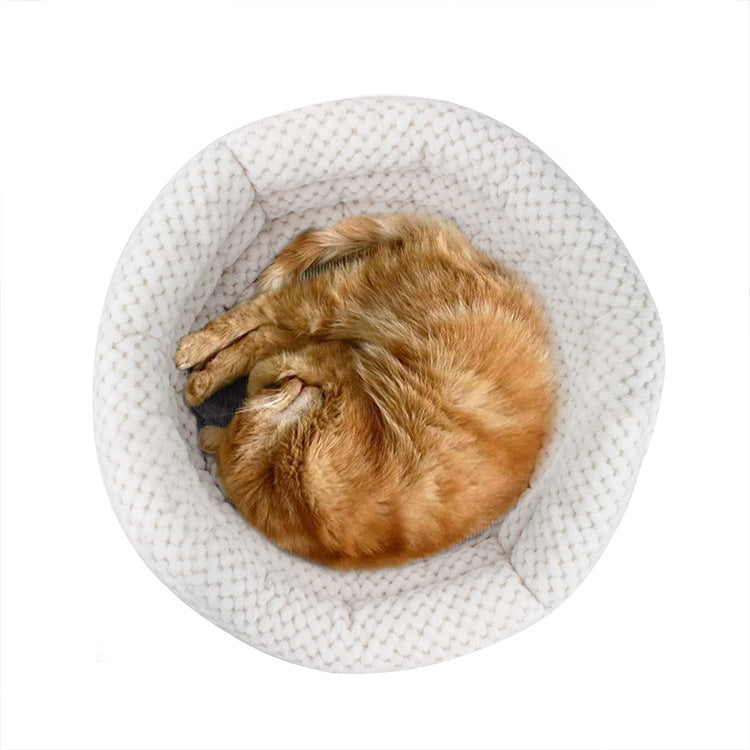 The Ultimate Comfort for Your Furry Friends