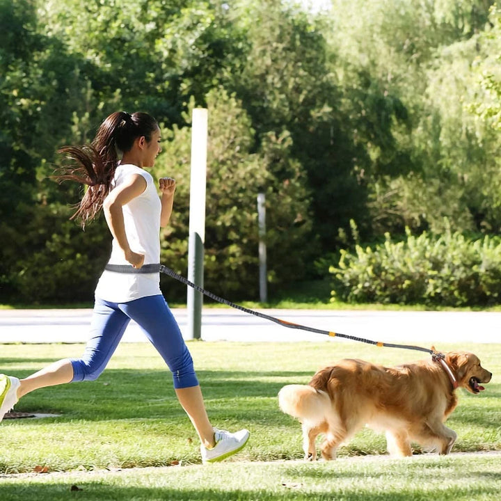 The Perfect Companion for Active Pets: Harness Collar Jogging Adjustable Pet Leash