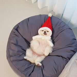 The Perfect Sanctuary for Your Furry Friend