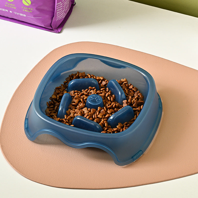 Slow Feed Pet Water and Food Bowl Anti-Choking Design