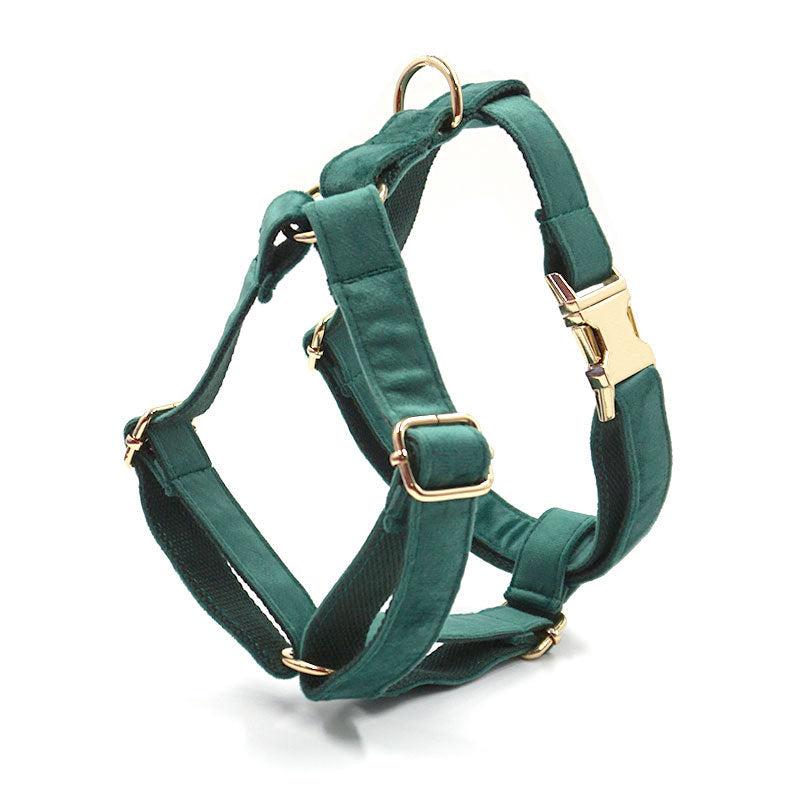 Green Velvet Pet Collar With Matching Leash
