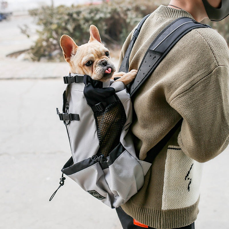 Double-Shoulder Portable Pet Travel Carrier Backpack