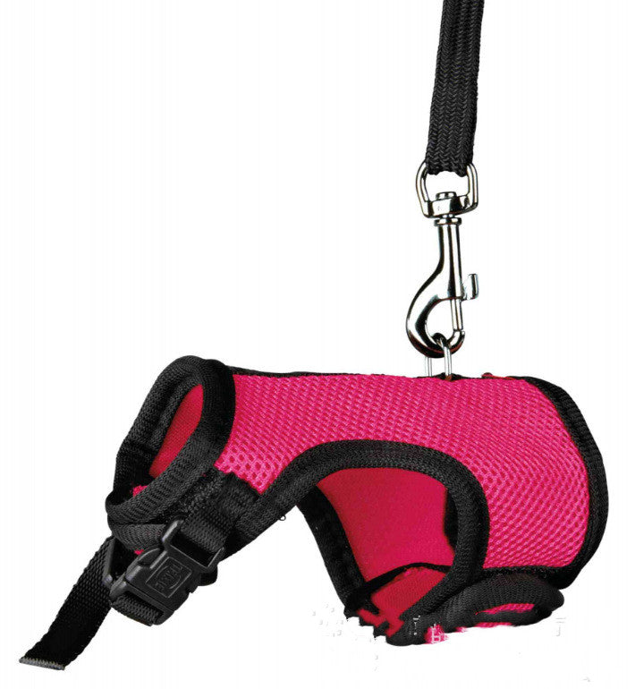Small Pet Leash for Walking