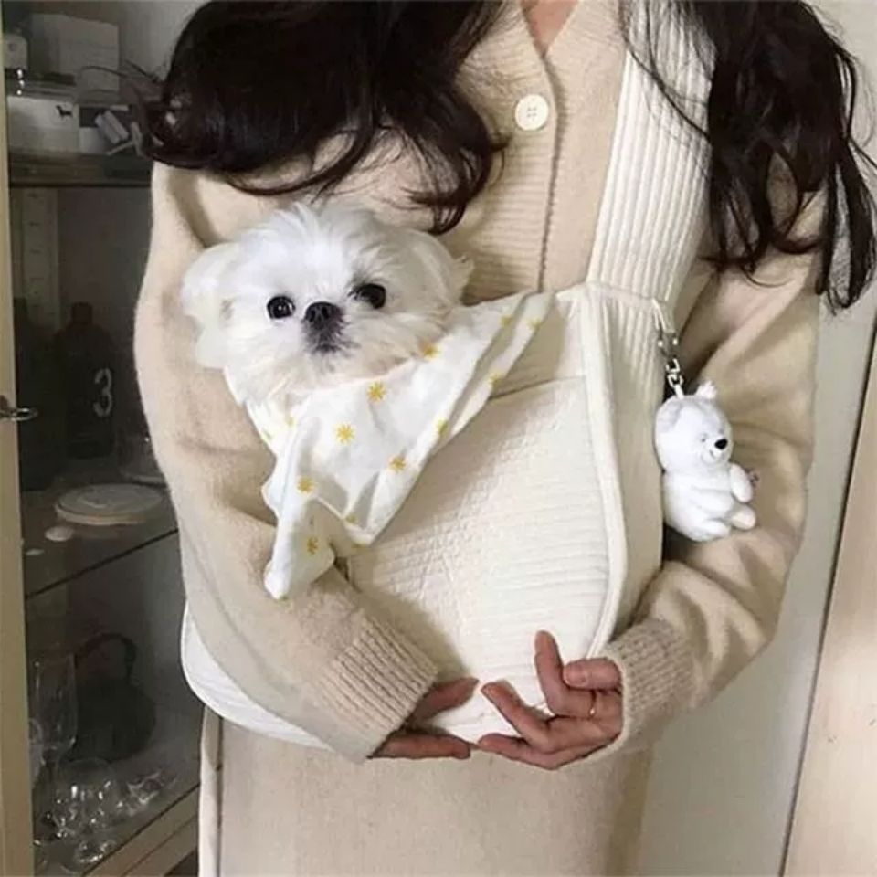 Handmade Canvas Pet Travel Carrier Bag