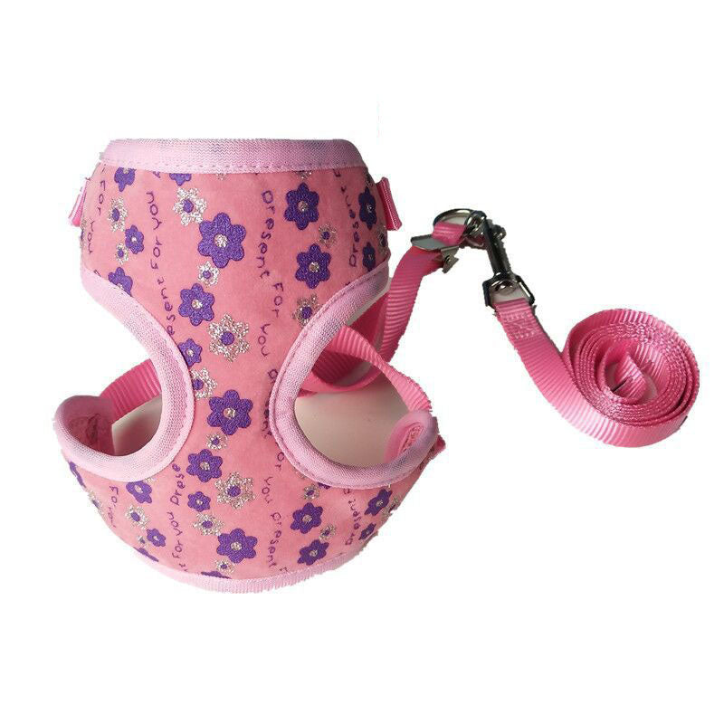 Small Pet Leash for Walking