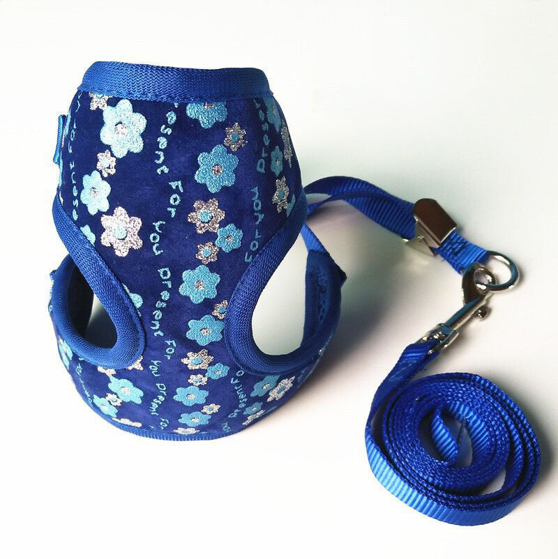 Small Pet Leash for Walking