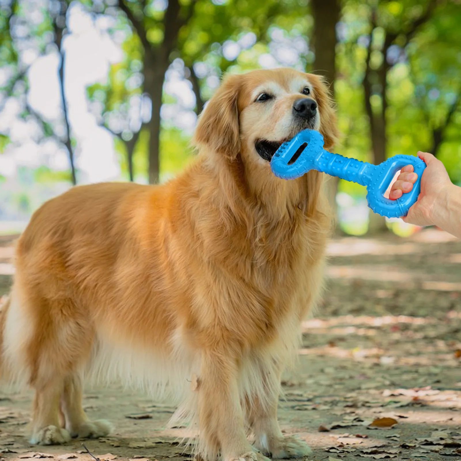 Durable Pet Chew Bone Interactive Long-Lasting Toy