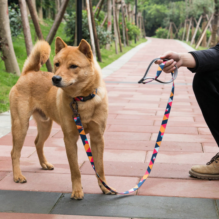 Durable Pet Leash Strong Adjustable Walking Strap