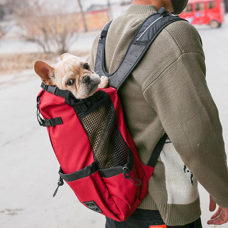 Double-Shoulder Portable Pet Travel Carrier Backpack