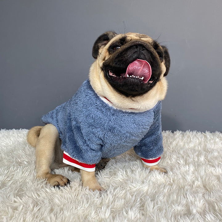 Warm Pet Sweater
