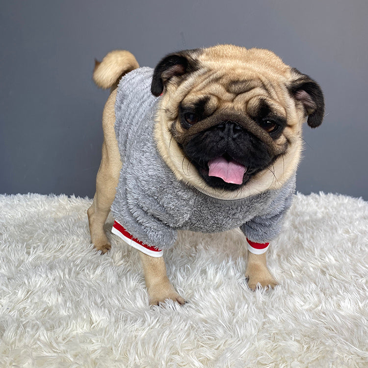 Warm Pet Sweater