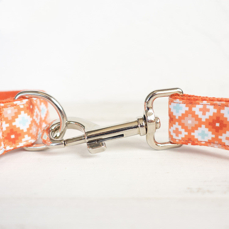 Thickened Pet Leash With Pen Set
