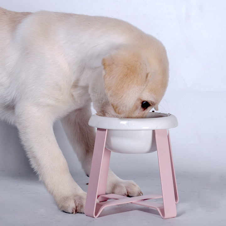 Creative Antislip Pet Feeding Bowl With Iron Stand 2-in-1