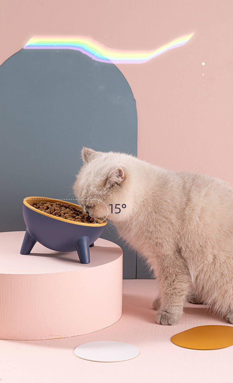 Pet Feeding Bowl With Stand Nordic Color Design