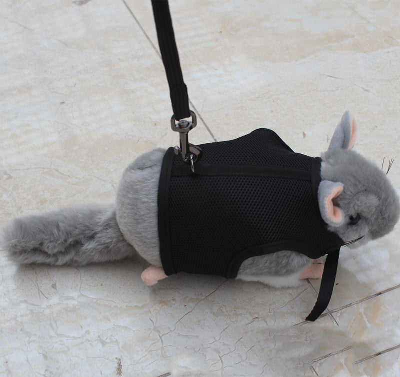 Small Pet Leash for Walking