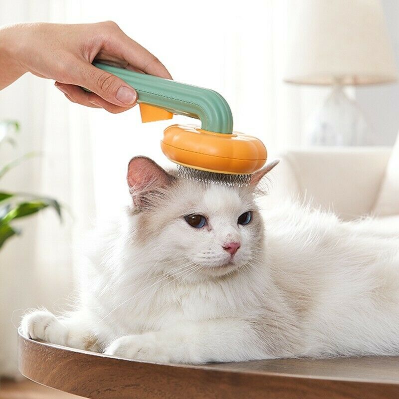 Pumpkin Pet Self-Cleaning Slicker Brush For Grooming