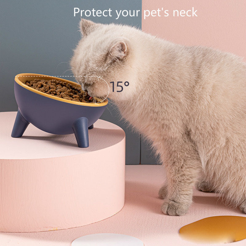 Pet Feeding Bowl With Stand Nordic Color Design