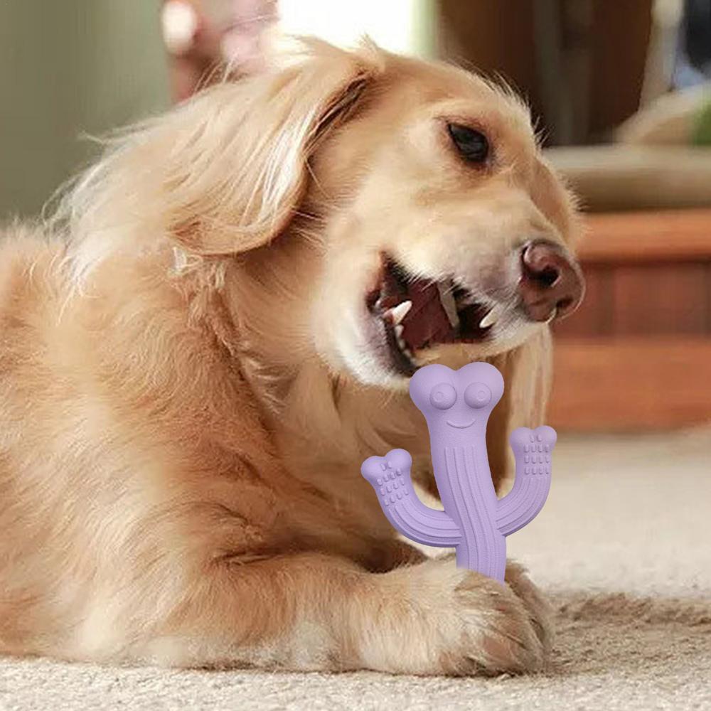Durable Cactus Pet Chew Toy Interactive Bite Resistant