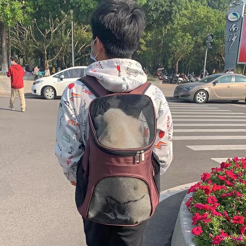 Breathable Portable Pet Carrier Backpack