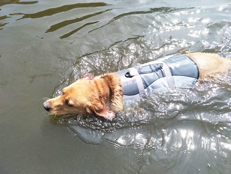 Adjustable Pet Life Jacket For Safety And Comfort