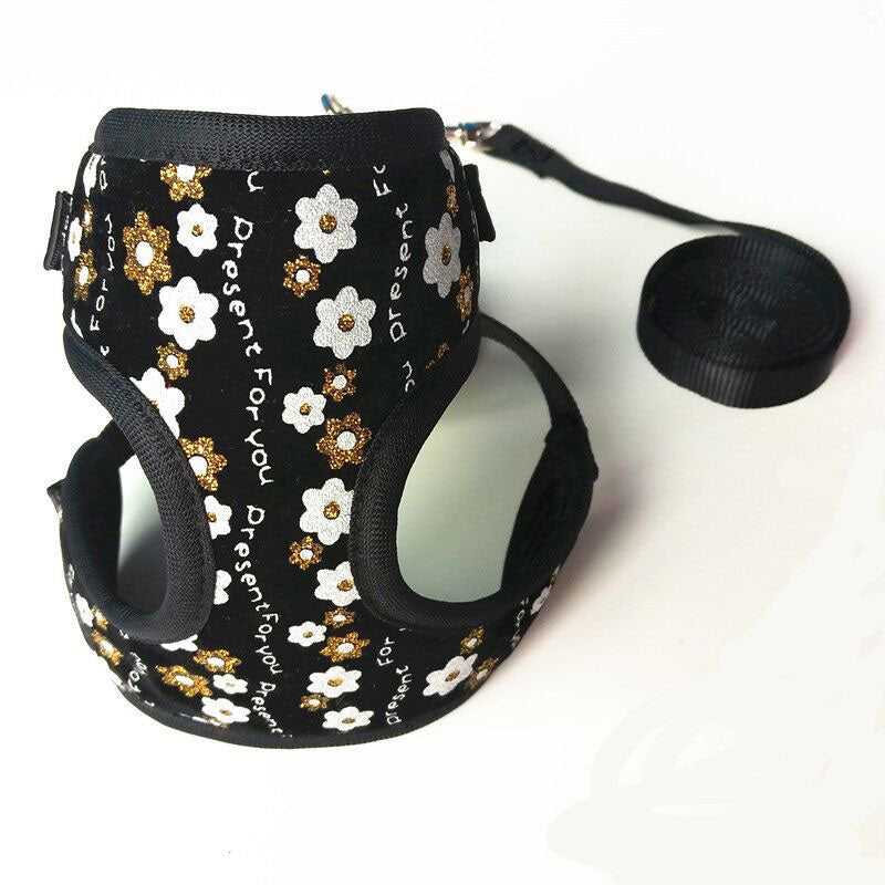 Small Pet Leash for Walking