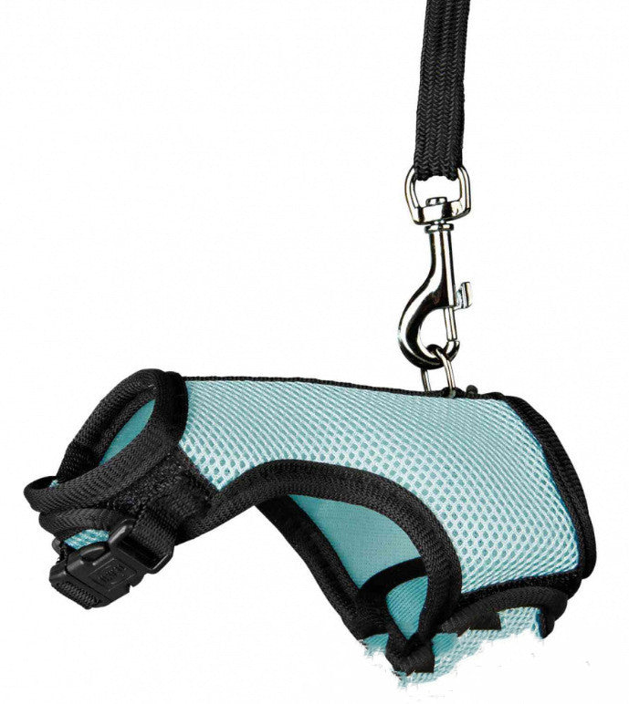 Small Pet Leash for Walking