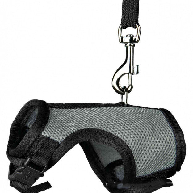 Small Pet Leash for Walking