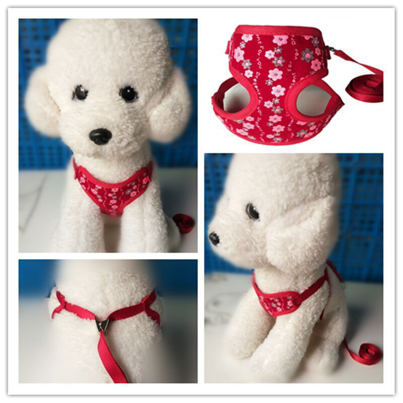 Small Pet Leash for Walking