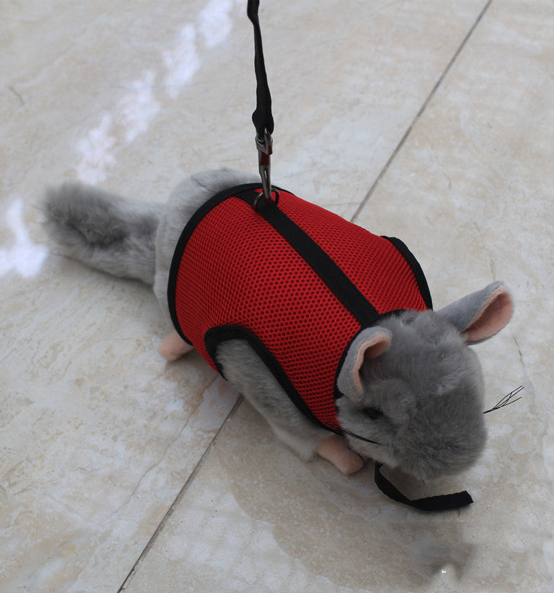 Small Pet Leash for Walking