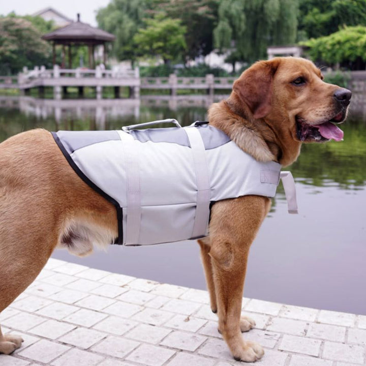Adjustable Pet Life Jacket For Safety And Comfort
