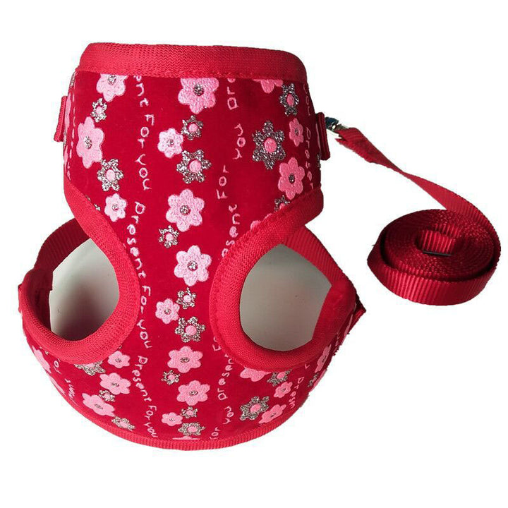 Small Pet Leash for Walking