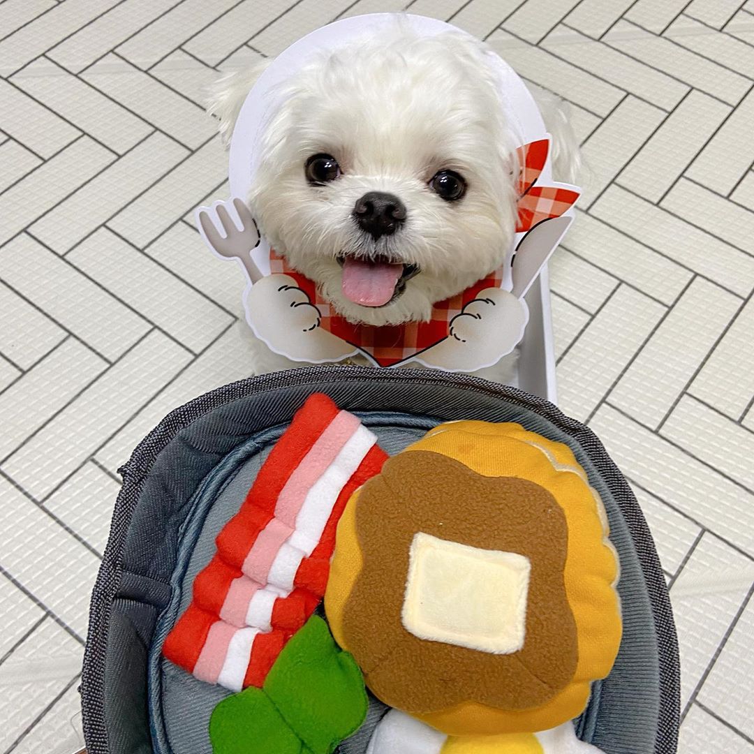 Pet Treat Puzzle Chew Toy Interactive Feeder