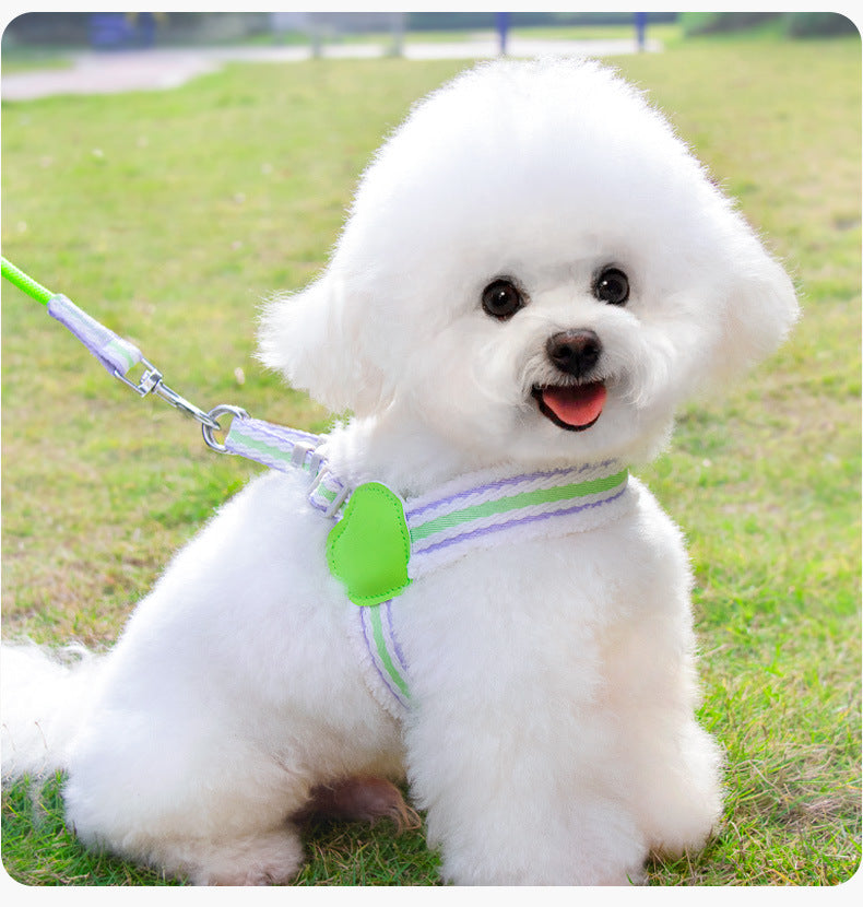 Summer Breathable Pet Leash With Chest Vest Small Medium