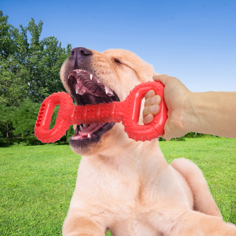 Durable Pet Chew Bone Interactive Long-Lasting Toy