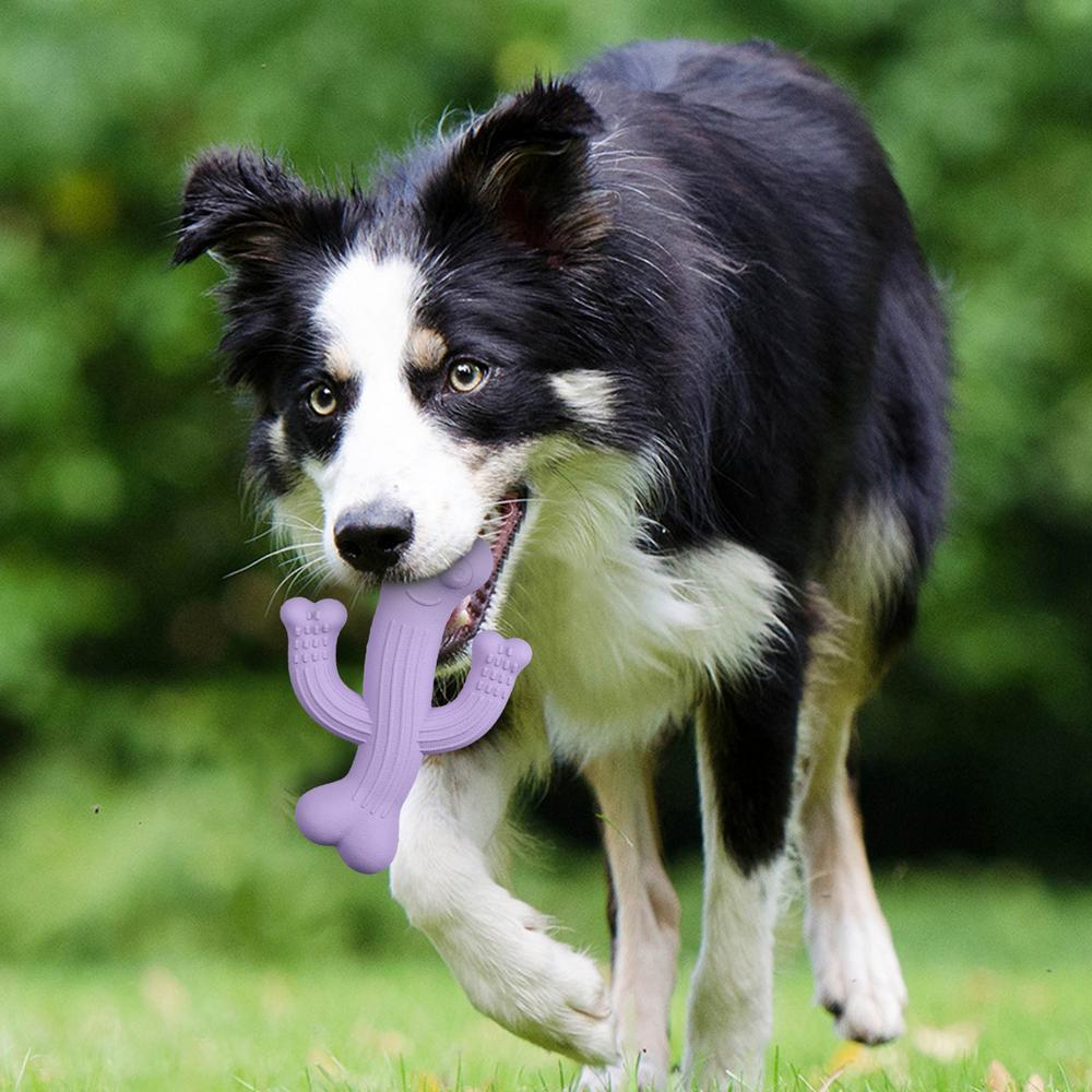 Durable Cactus Pet Chew Toy Interactive Bite Resistant