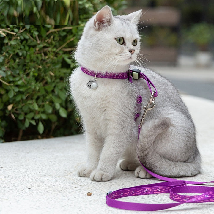 Pet Bell Chest Strap Vest With Adjustable Leash