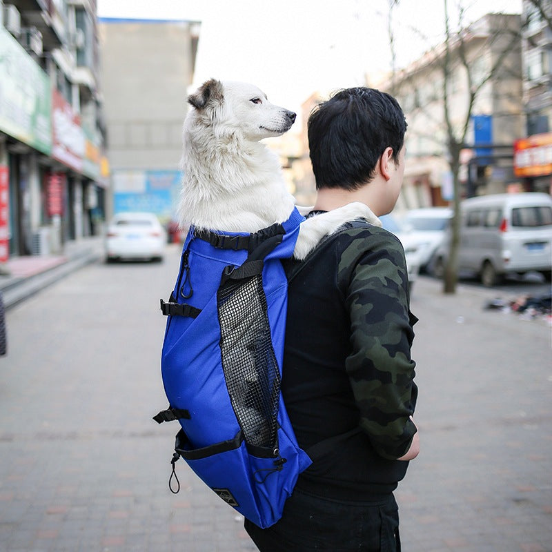 Double-Shoulder Portable Pet Travel Carrier Backpack