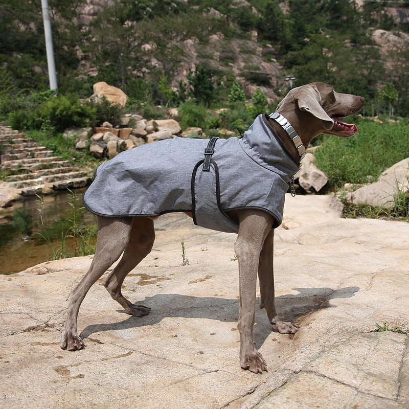 Winter Pet Shell Jacket Outdoor Ski Coat