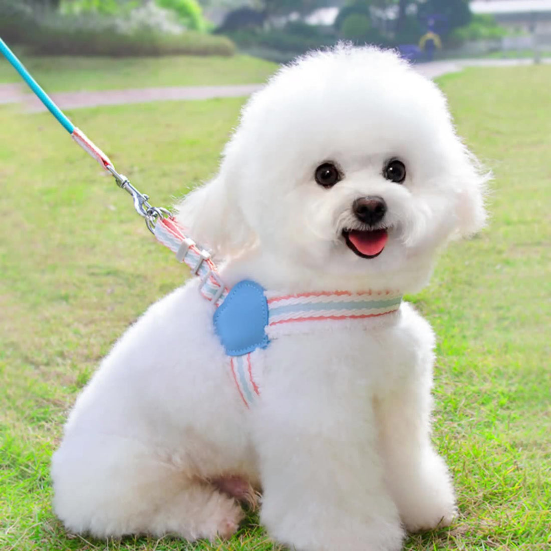 Summer Breathable Pet Leash With Chest Vest Small Medium