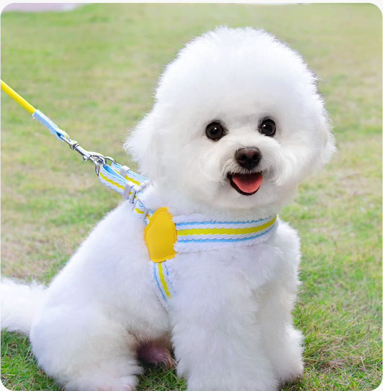 Summer Breathable Pet Leash With Chest Vest Small Medium