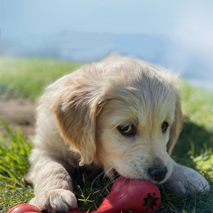 Pet Bite-Resistant Rubber Grinding Toy