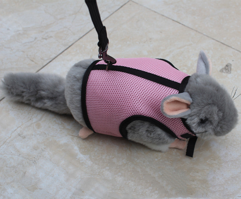 Small Pet Leash for Walking