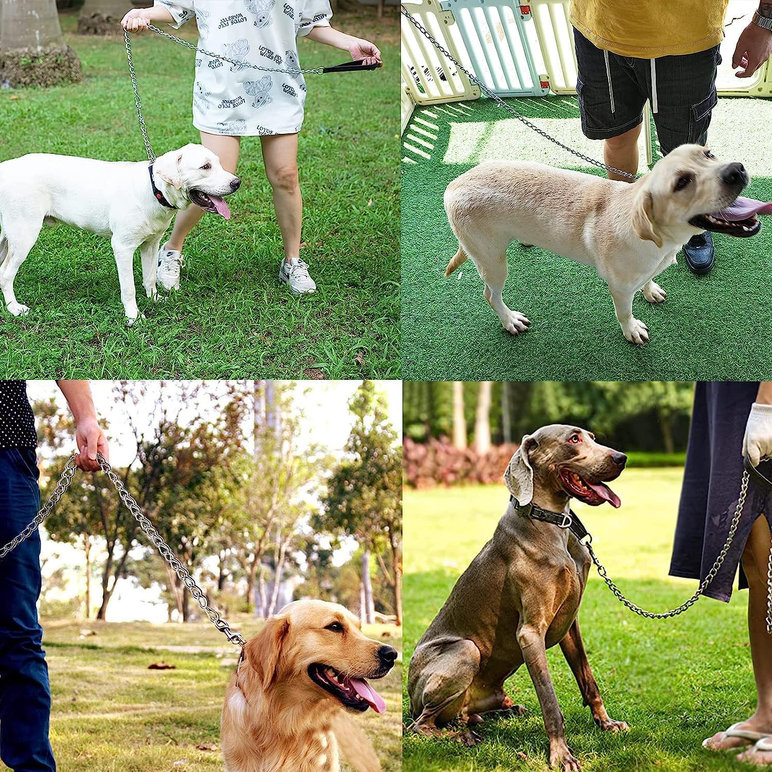Heavy-Duty Metal Pet Leash Chew-Proof Padded Handle