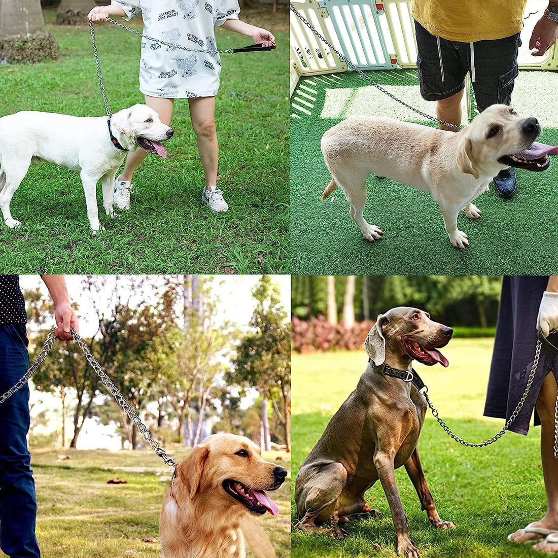 Heavy-Duty Metal Pet Leash Chew-Proof Padded Handle