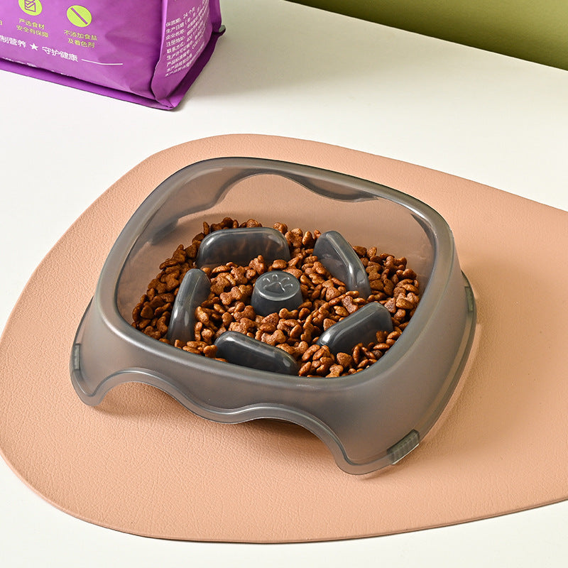 Slow Feed Pet Water and Food Bowl Anti-Choking Design