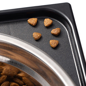 Elevated Pet Feeding Bowl Anti-Tip Neck Protection Medium Large